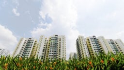 HDB flats in an open field