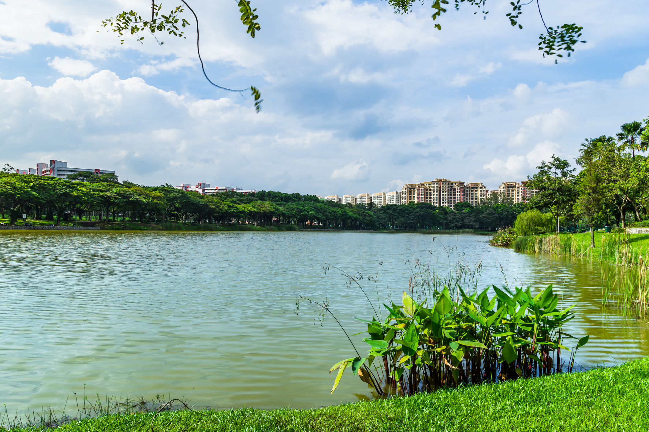 Punggol Park lake view