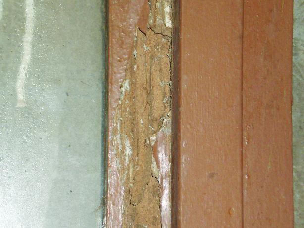 Termite pests damaged doorframe