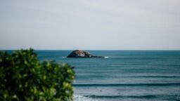 business-near-beach