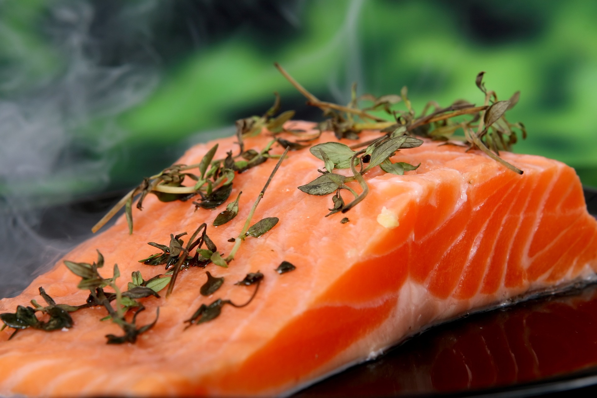 salmon steak