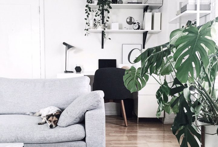 redecorate rental unit
