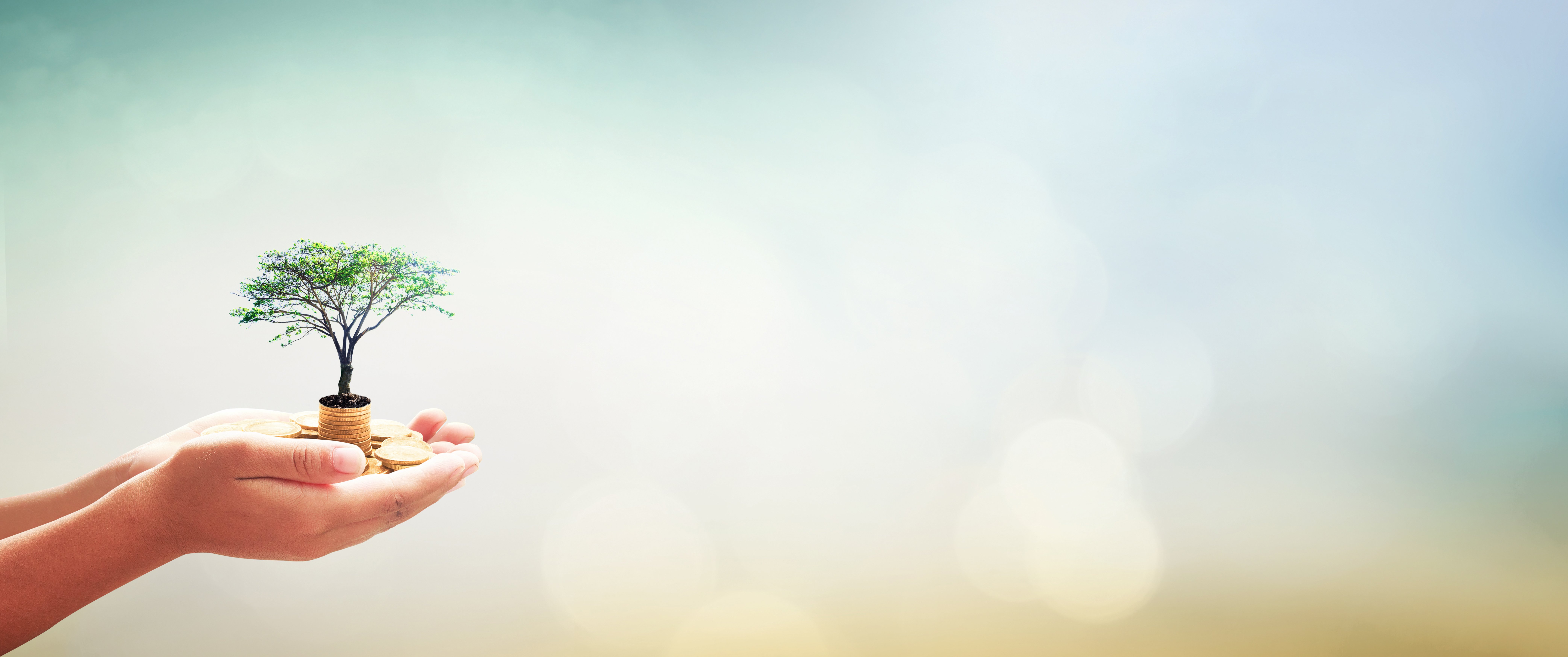 Purchase an Endowment Plan
