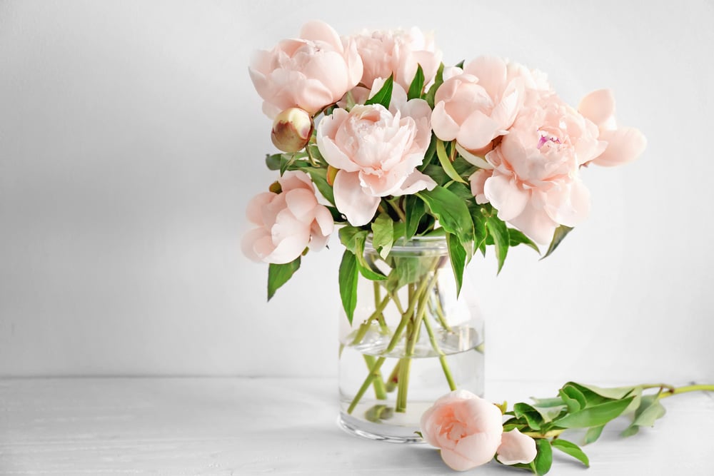 Vase of Flowers