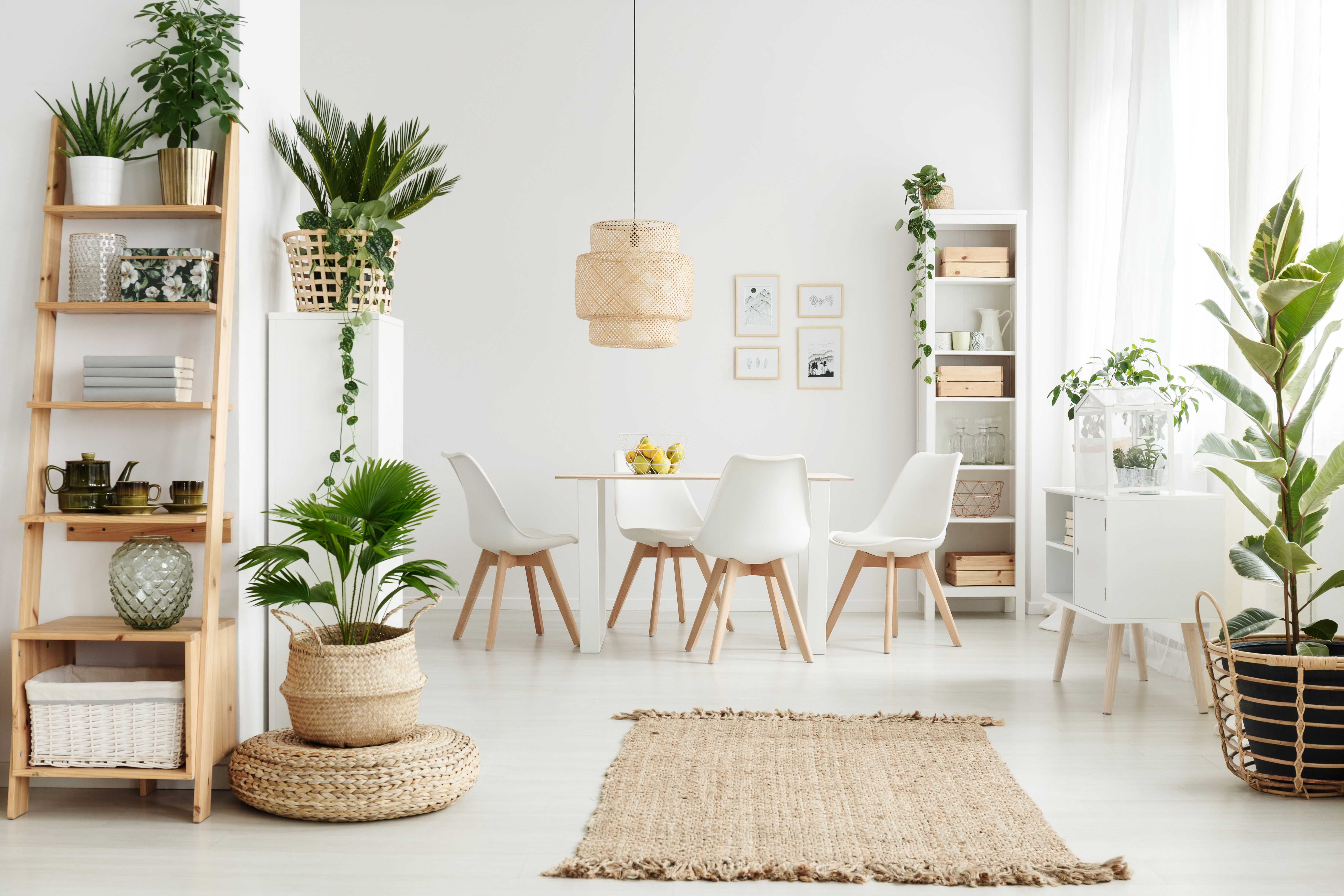 Scandinavian-living-room
