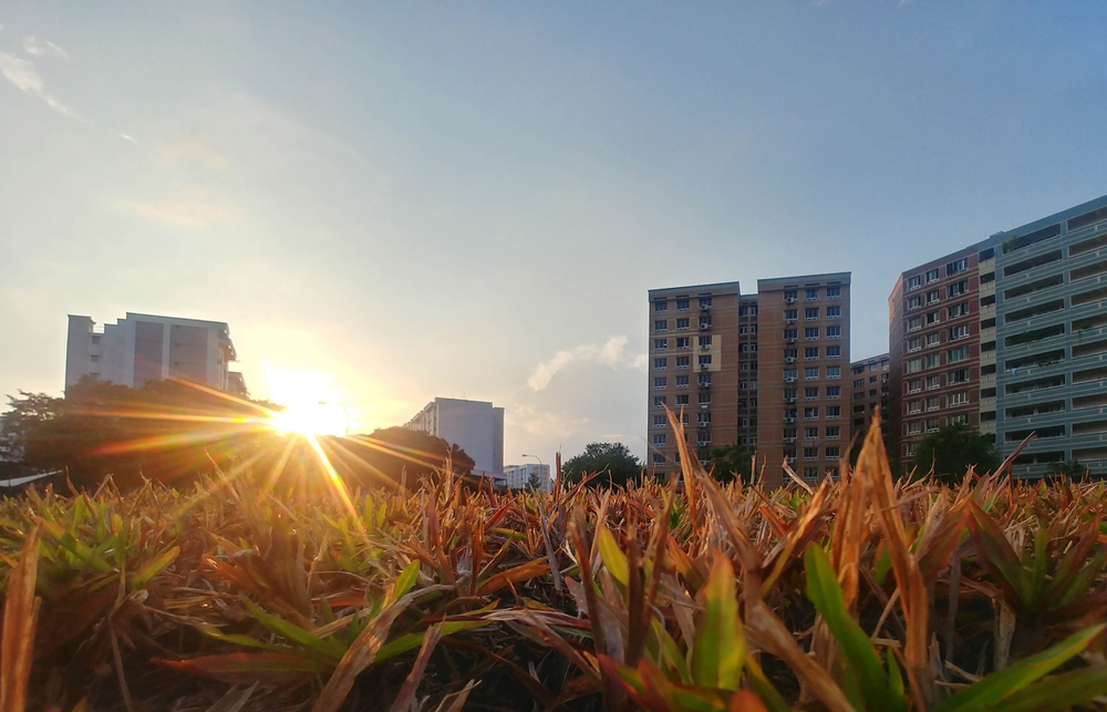 HDB flats in Tampines.