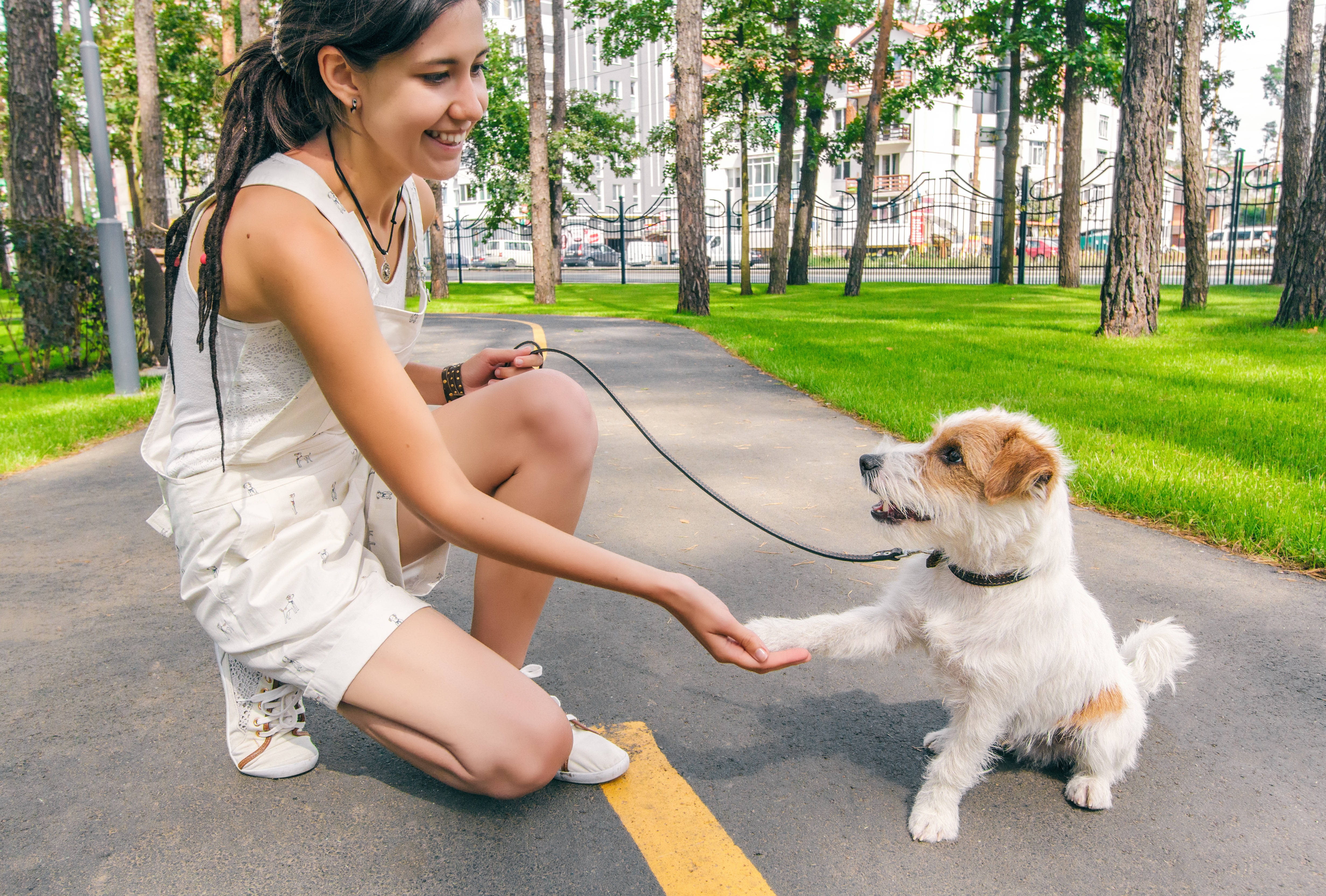 dog and lady interacting
