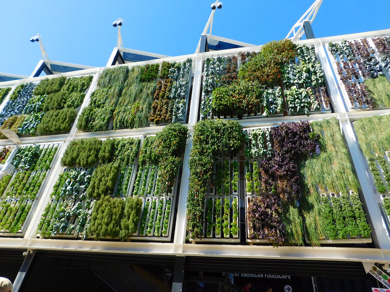 Vertical gardens