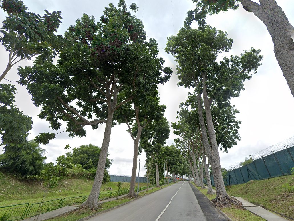 loyang way
