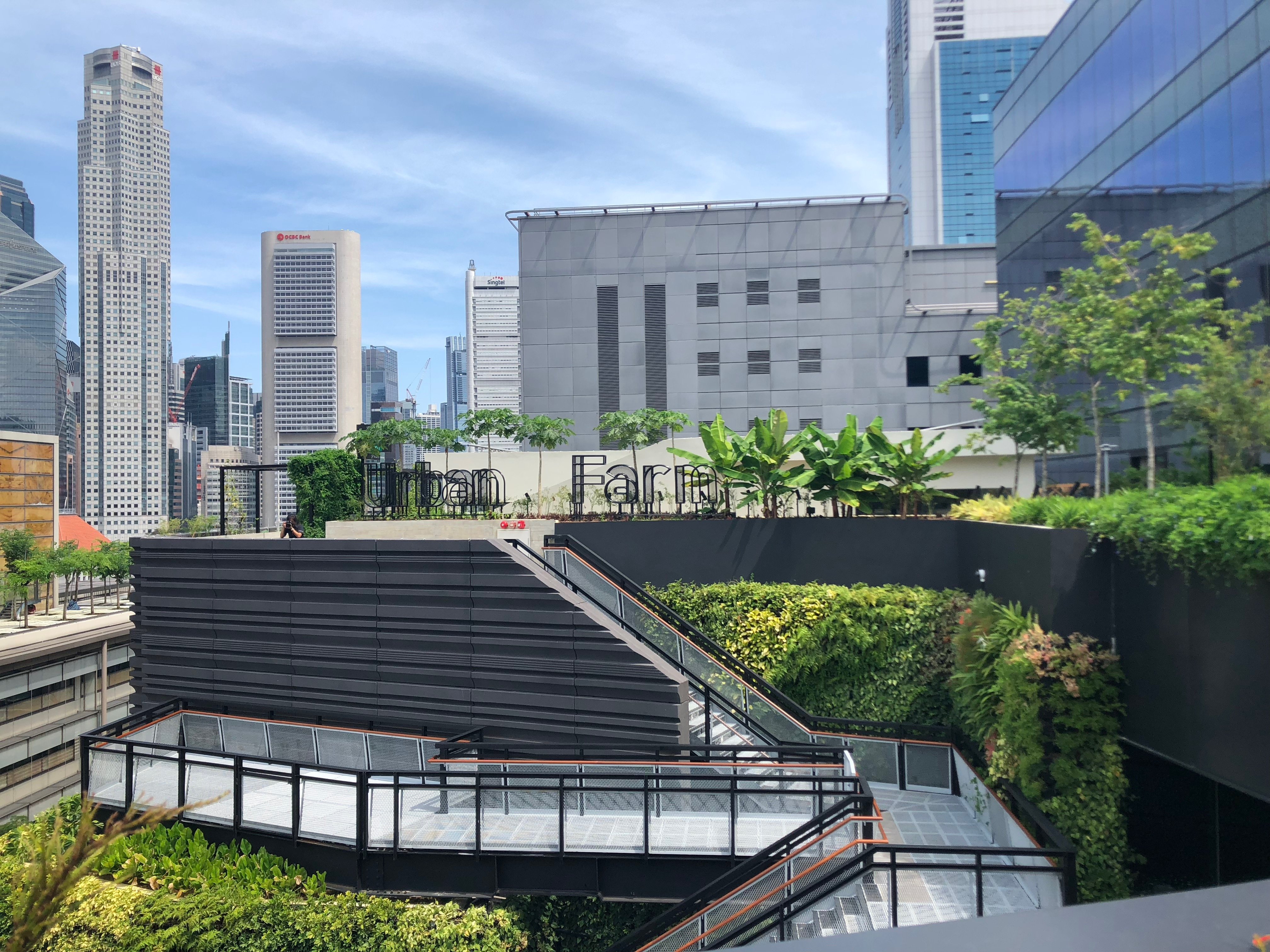 The rooftop Urban Farm. 