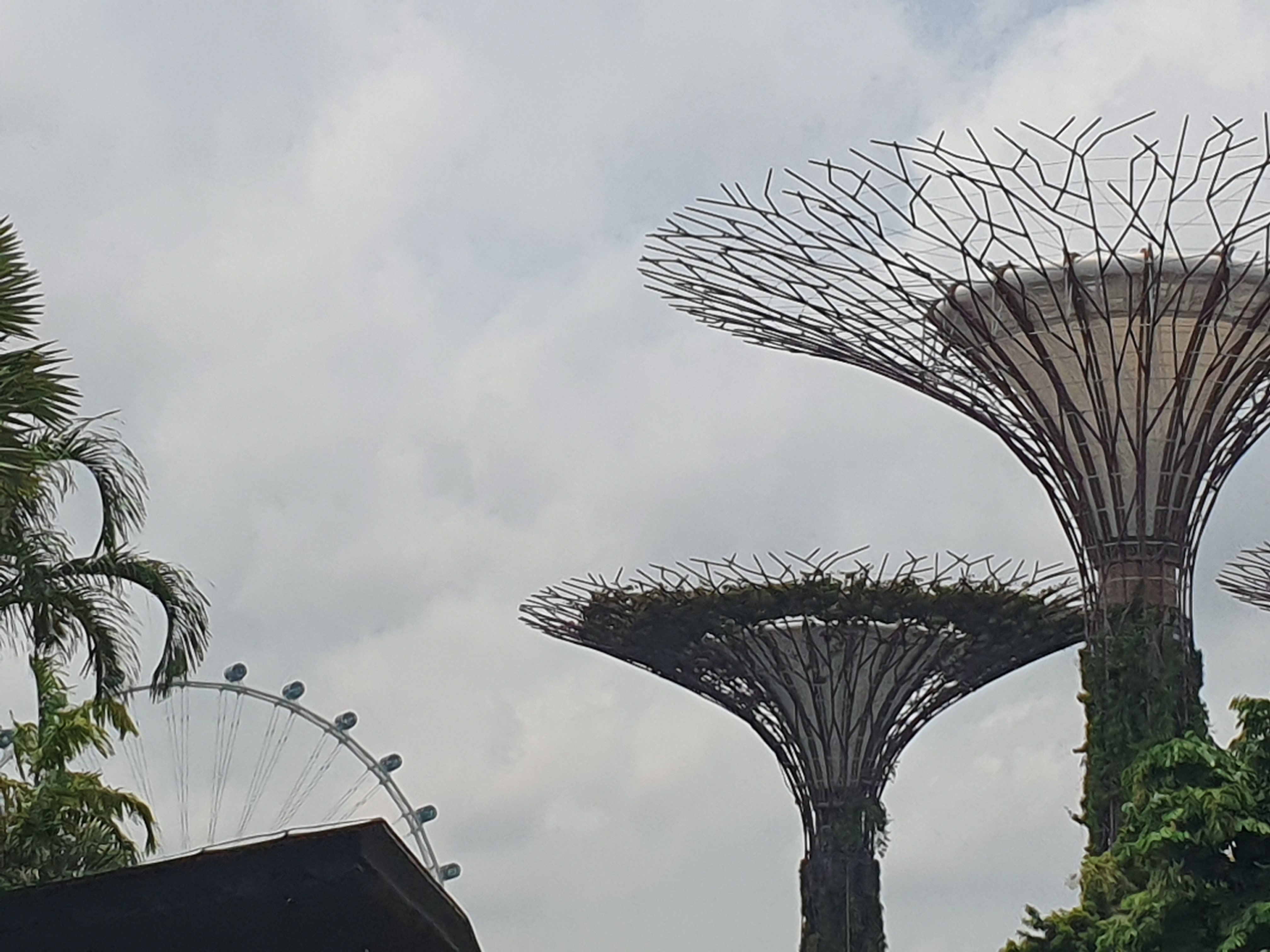 Picture of Gardens by the Bay