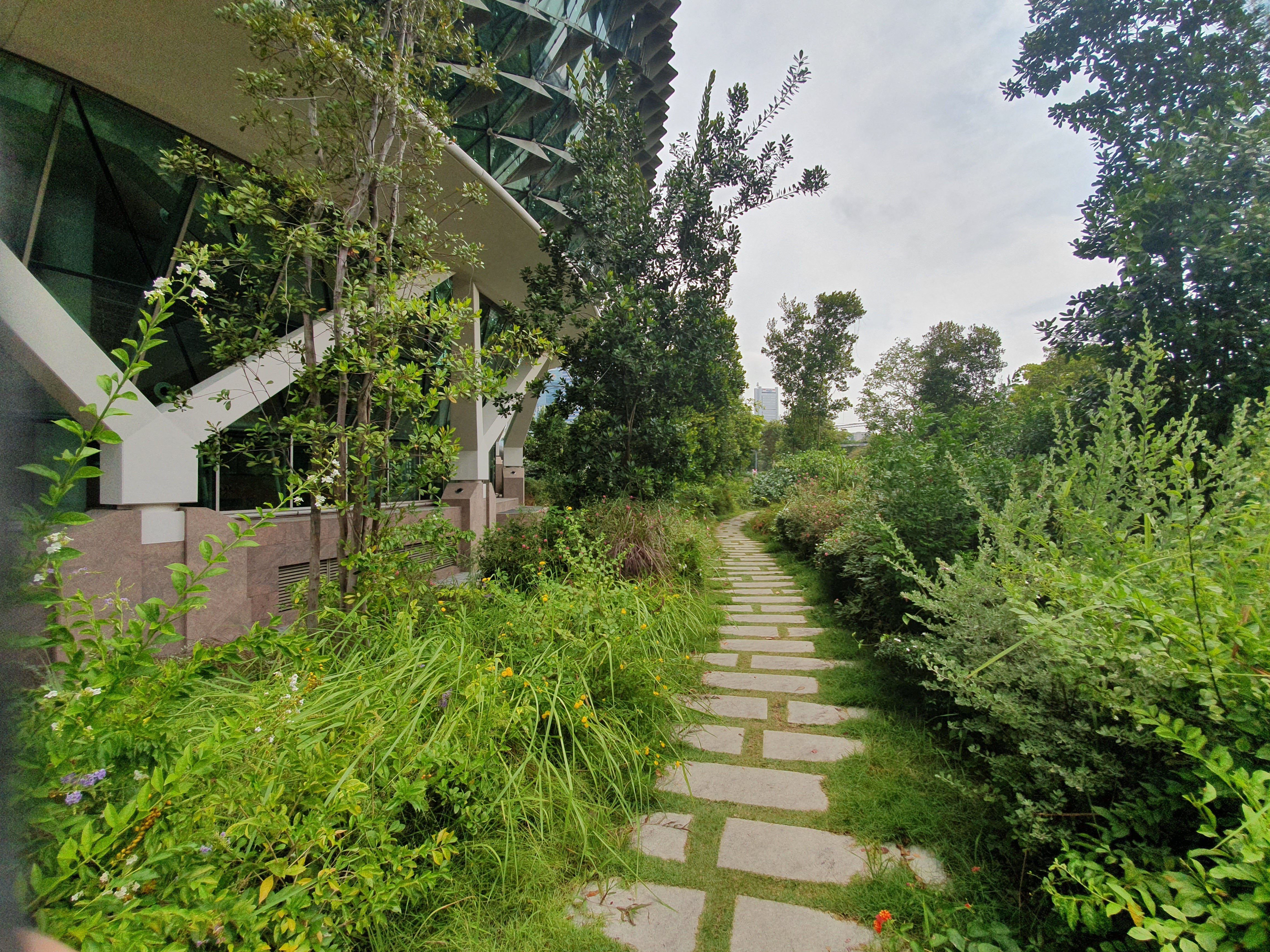 Picture of garden in esplanade