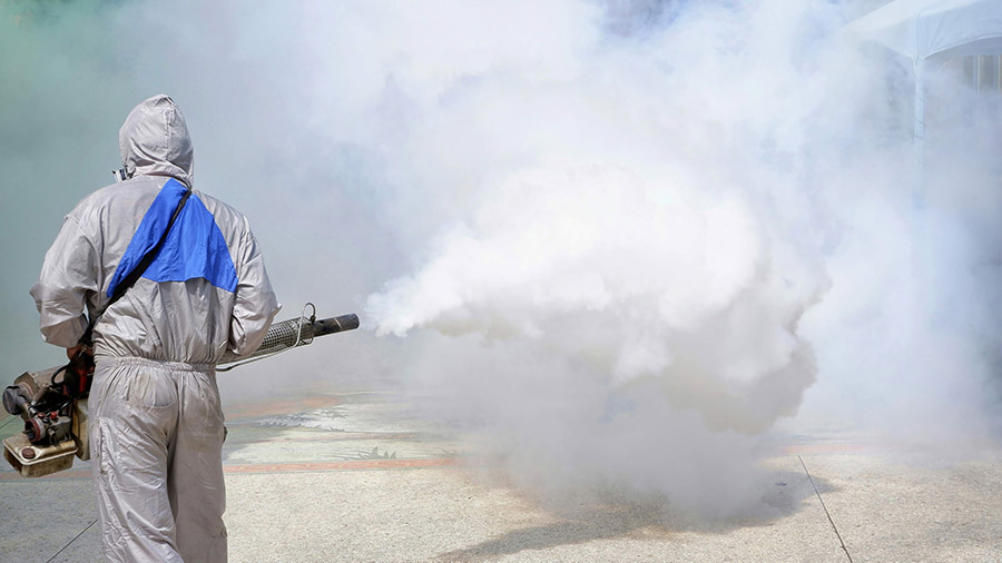 dengue fever fogging