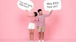 covid-19 hdb flat buyer seller owners resale bto questions