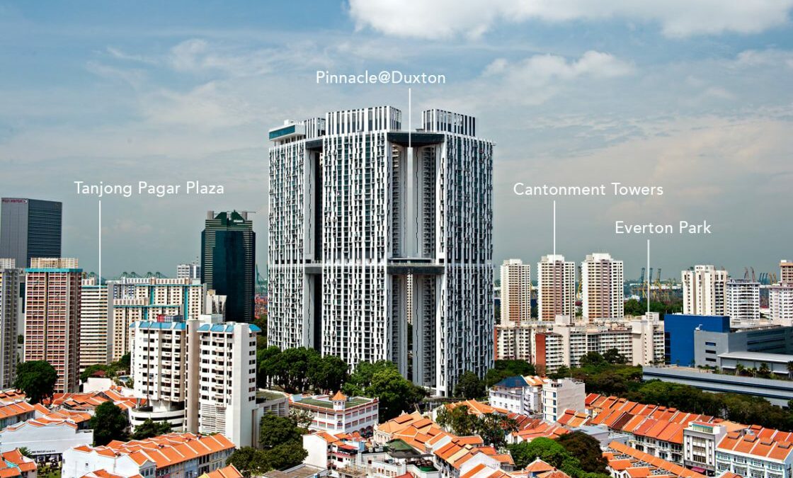 pinnacle@duxton hdb flat