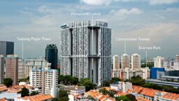 pinnacle@duxton hdb flat