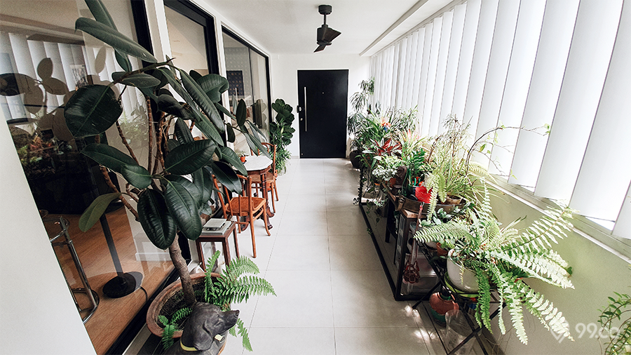 ang mo kio hdb jumbo flat terrace