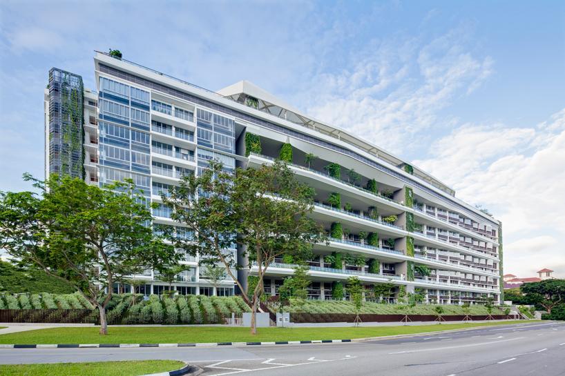 jardin condo