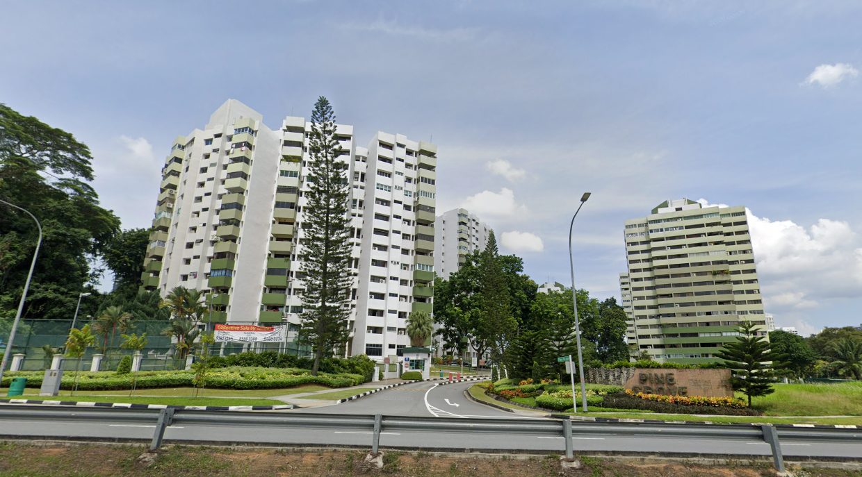 pine grove condo