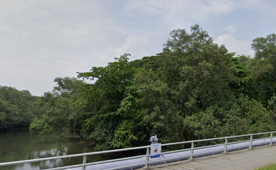 Sungei Api Api mangrove pasir ris