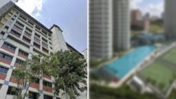 bishan hdb flats condo pool view free rider