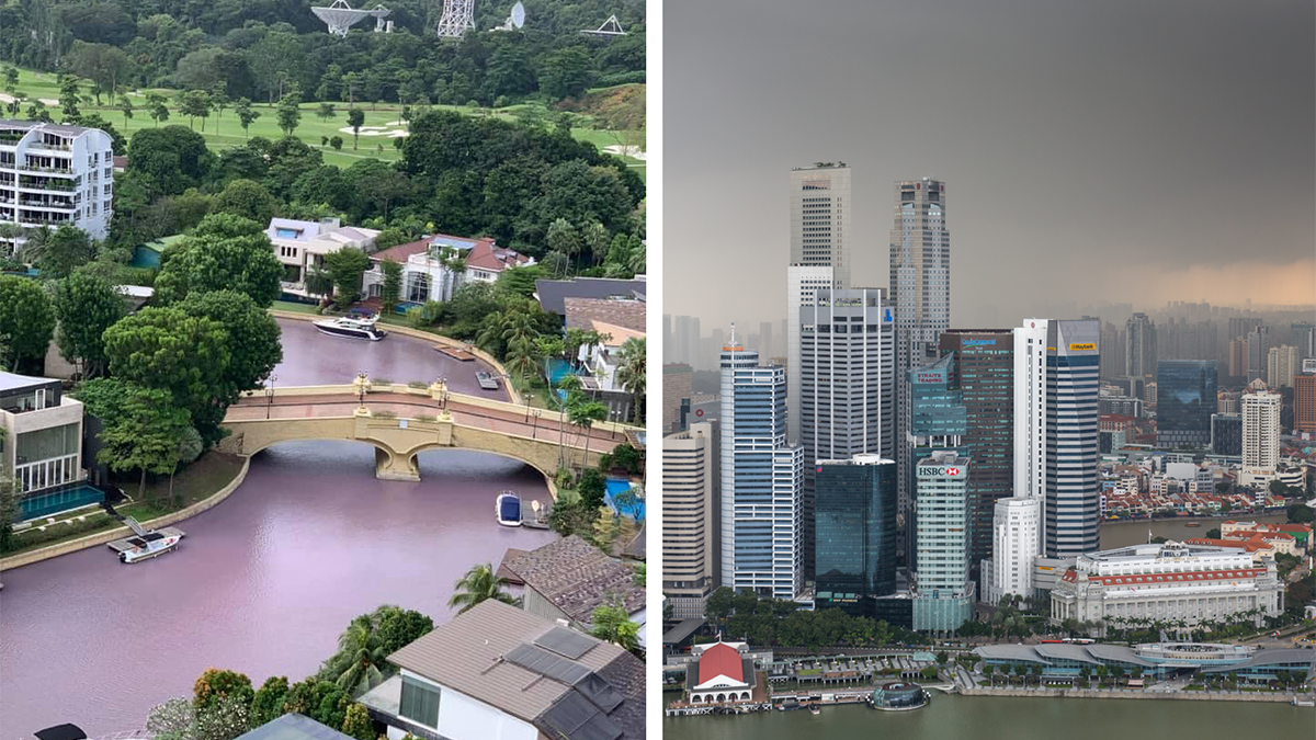 sentosa cove pink water singapore