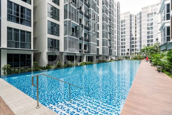 Swimming pool at Watertown condo