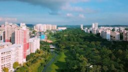 Blocks of HDB flats and a long stretch of nature park
