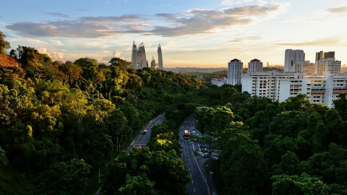 View of Keppel Bay and HDB flats