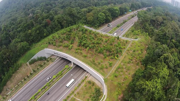 aerial photograph image of Eco-Link@BKE Bukit Timah