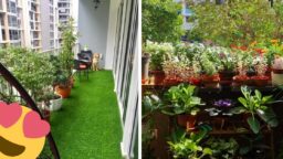 Home gardening header