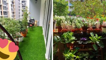 Home gardening header