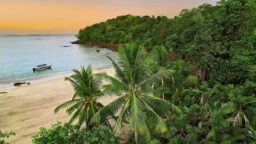 Beach at Islas Cayonetas