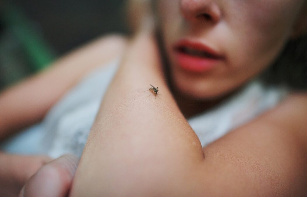 A,Mosquito,Sits,On,The,Woman's,Hand,And,Sucks,Blood.