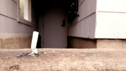 cigarette butt littering neighbours