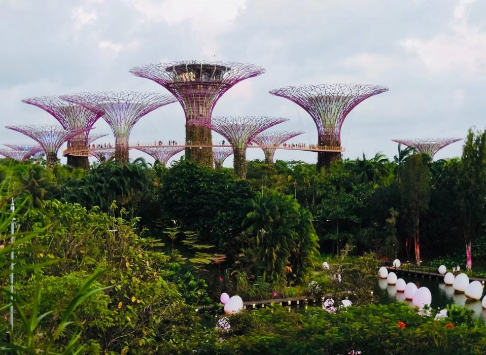 Gardens by the Bay