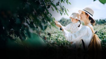 Maybank Green Loans