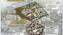 Woodlands North environmental study