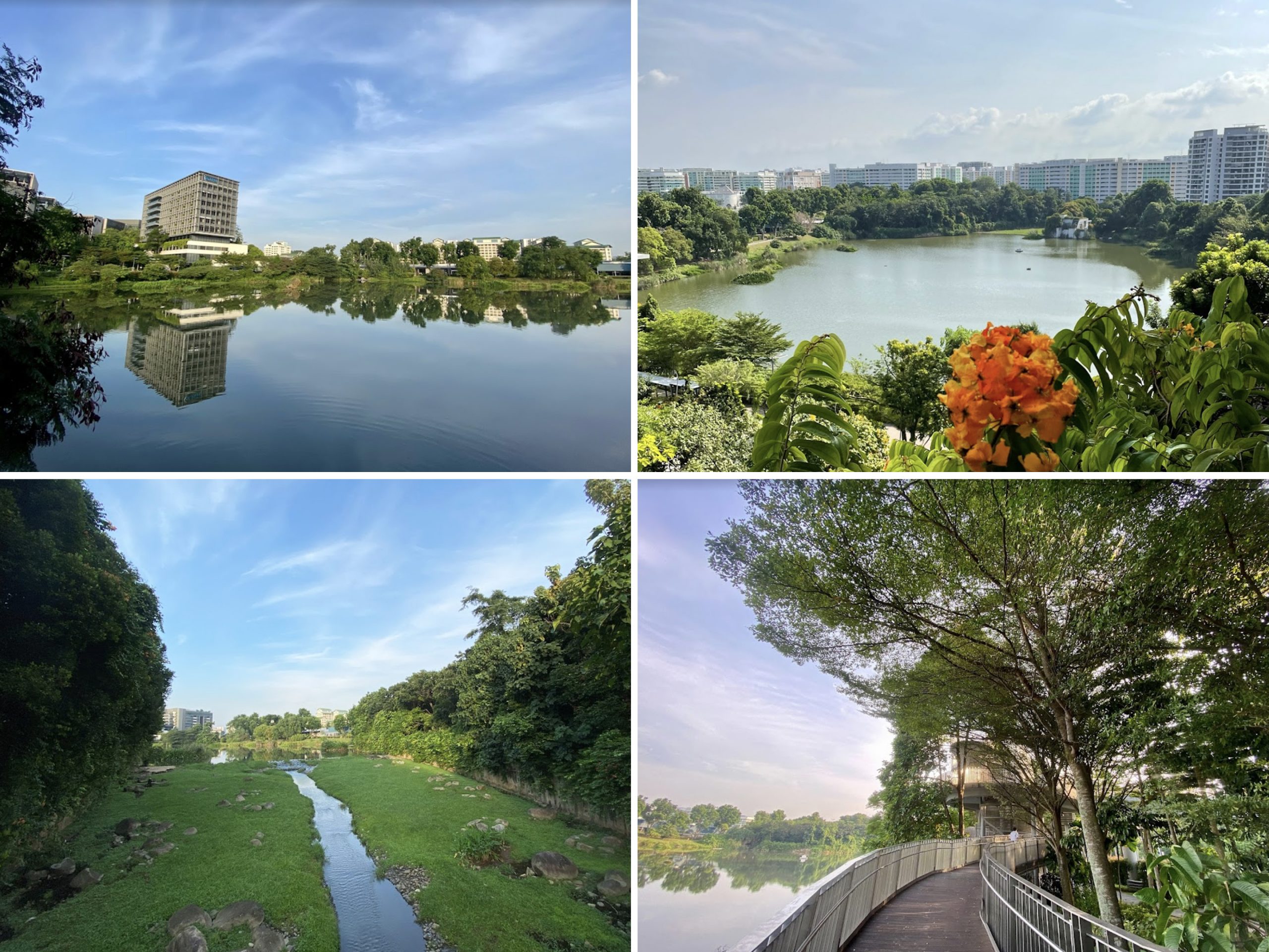 Yishun Pond Park