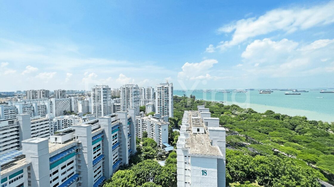 View from the Marine Parade flat