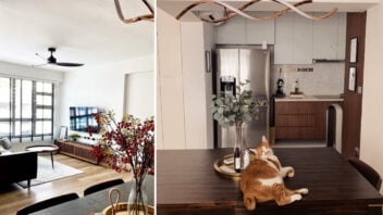 foongfamilyflat living and dining room with cat