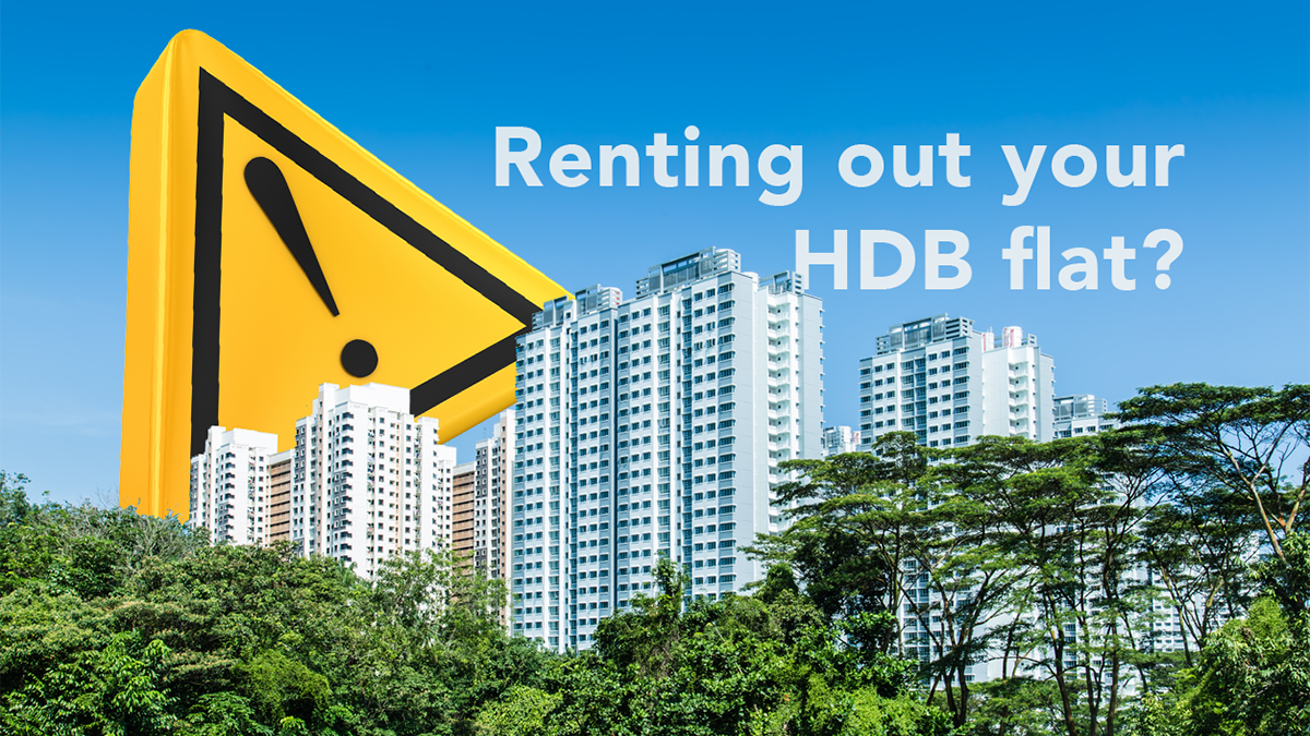 Daily info hotsell flats to rent