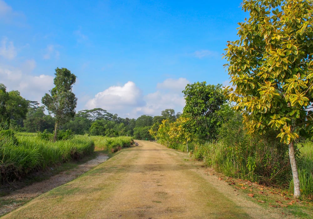 Tampines Eco Green Park