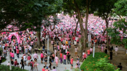 Pink Dot