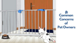 Concerns of Pet Owners