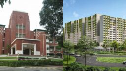 ACS primary and parc glen