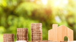 Council for Estate Agencies