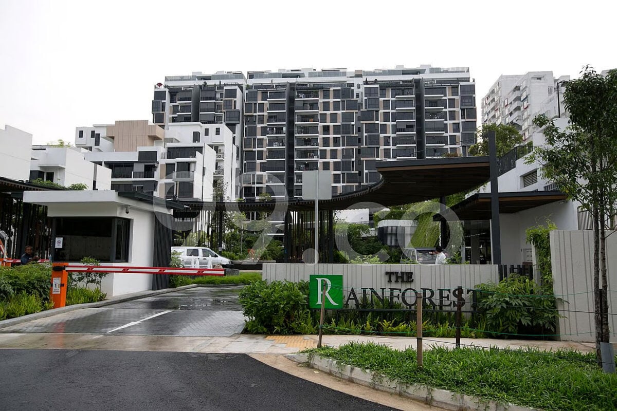 the rainforest ec near mrt