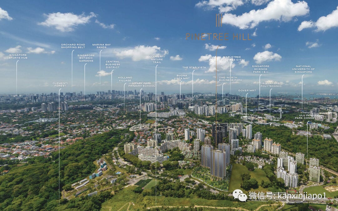 Pinetree Hill Singapore Eye