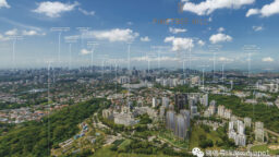 Pinetree Hill Singapore Eye
